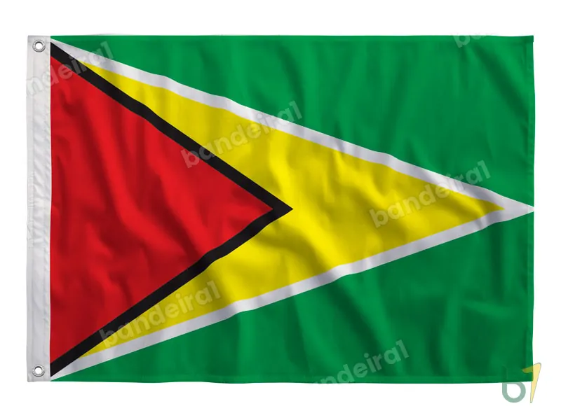 Bandeira da Guiana — poliéster — vista frontal
