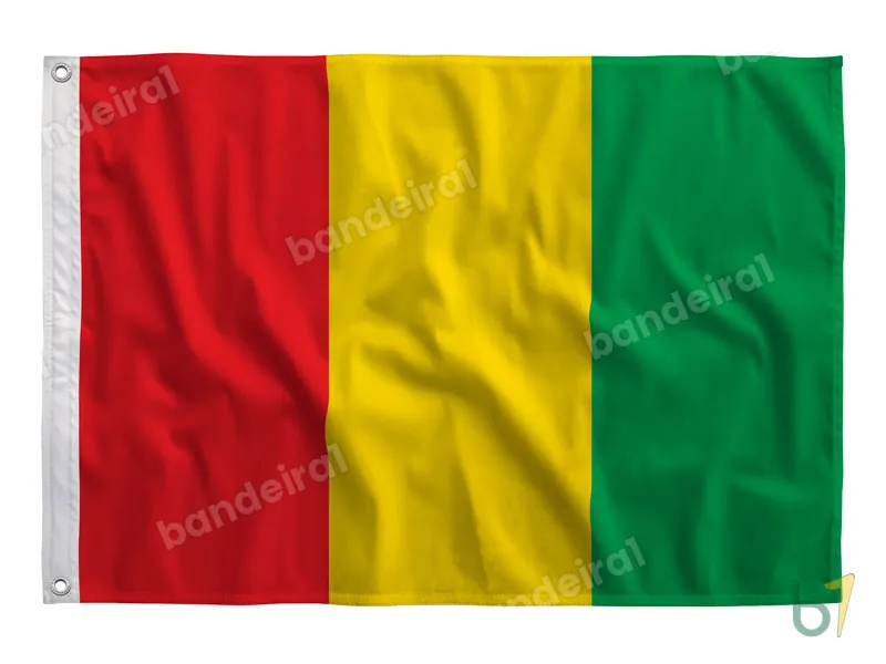 Bandeira da Guiné — poliéster — vista frontal