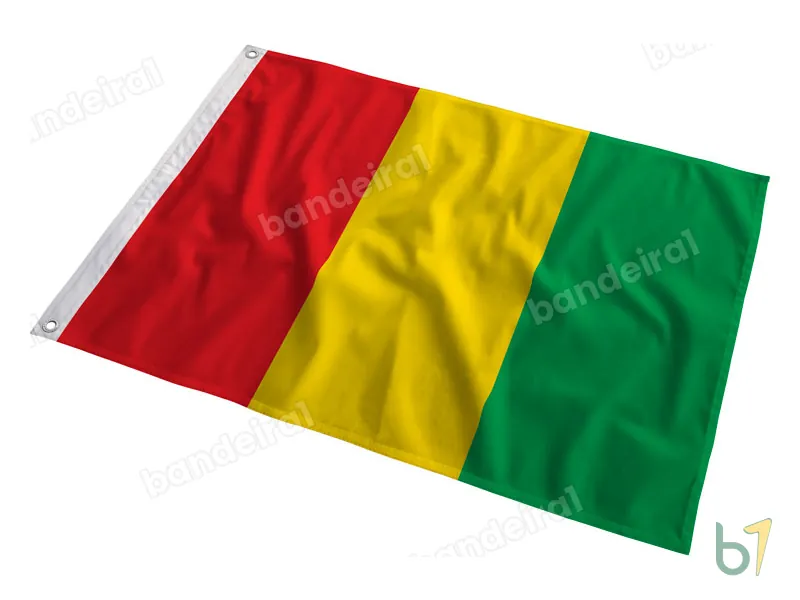 Bandeira da Guiné — poliéster — em movimento