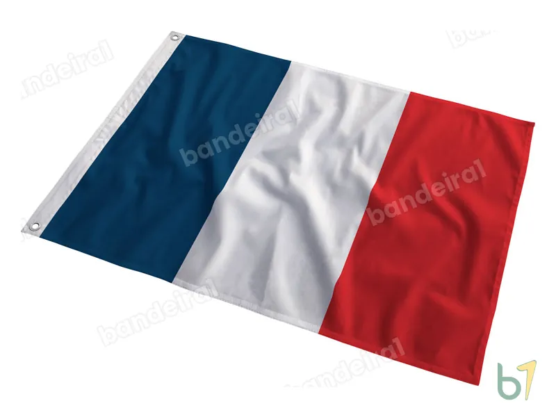 Bandeira da Martinica — poliéster — em movimento