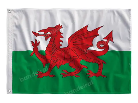 Bandeira do País de Gales